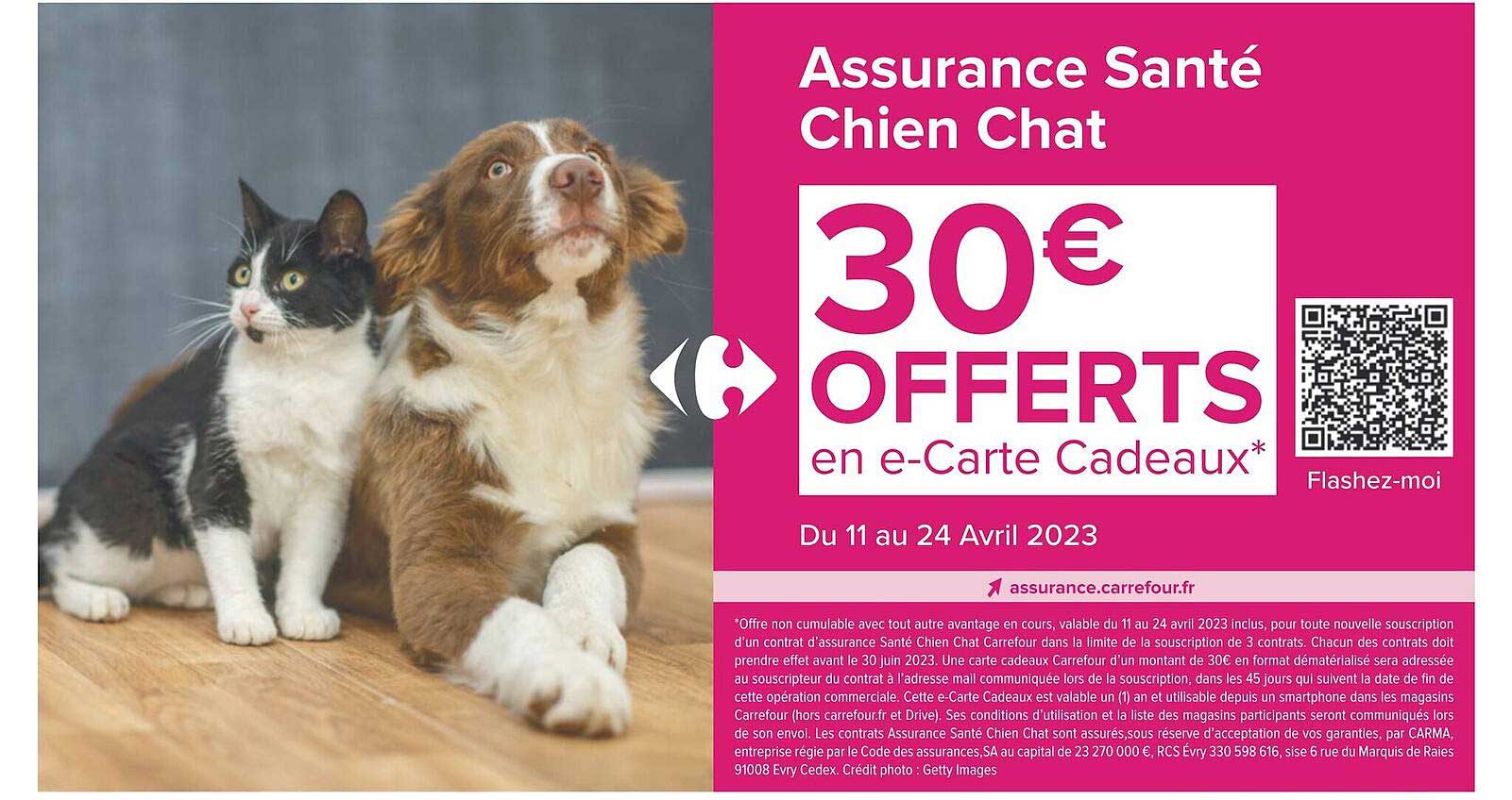 assurance santé chien chat