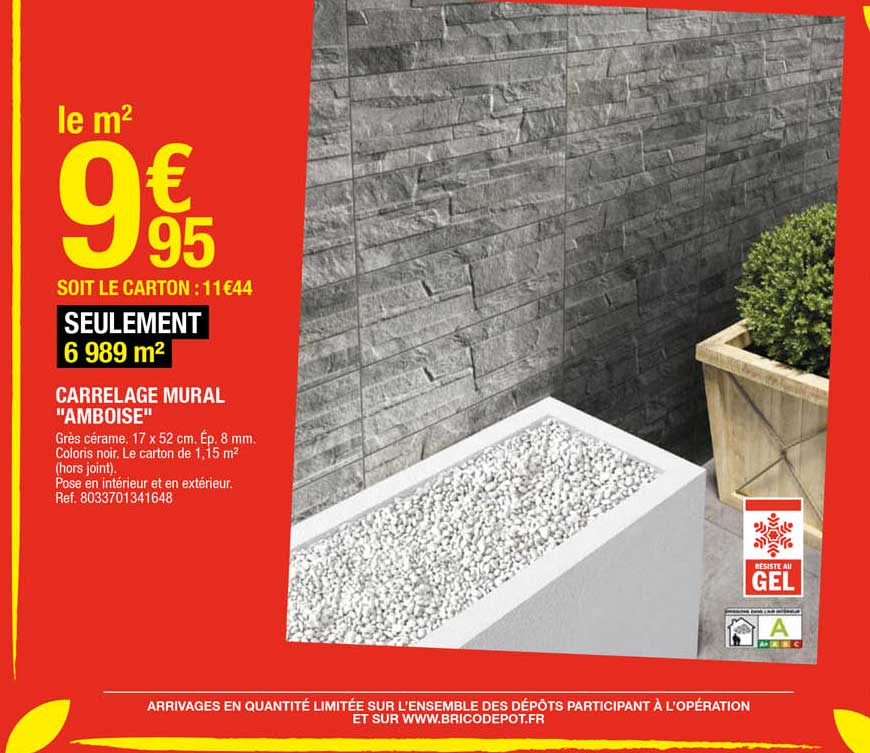 carrelage mural "amboise"