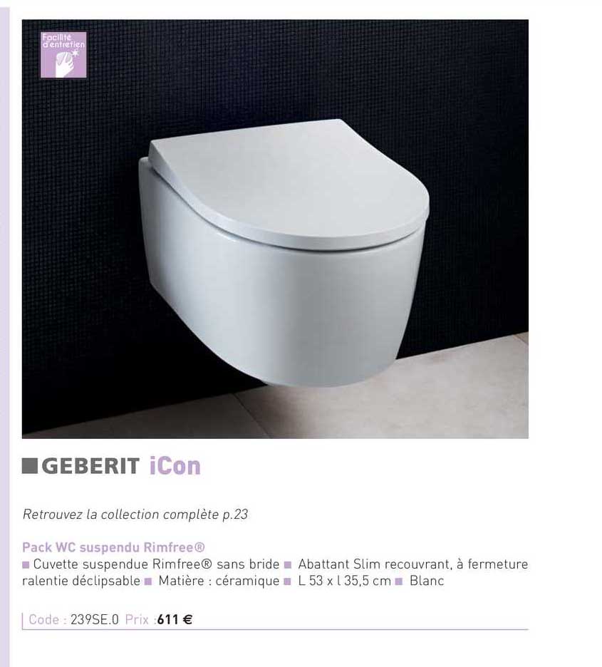Pack Wc Suspendu Rimfree, Icon, Geberit