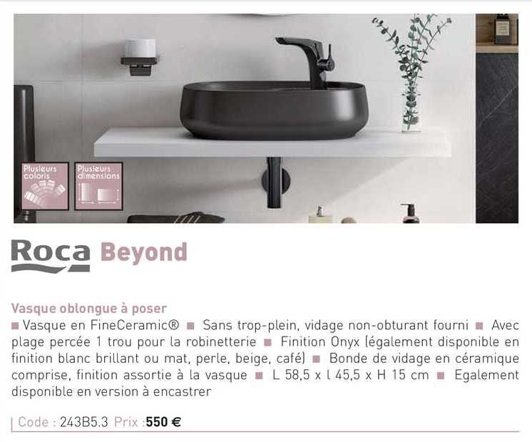 vasque oblongue à posr beyond roca