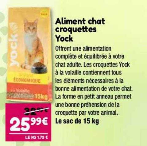 aliment chat croquettes yock