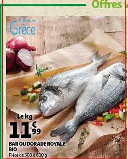 Bar Ou Dorade Royale Bio