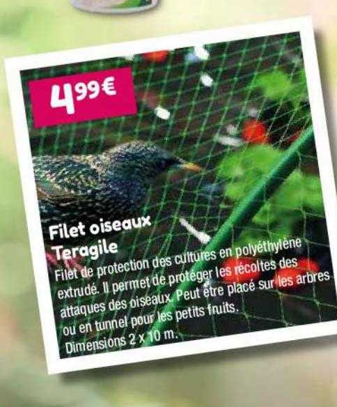 filet oiseaux teragile
