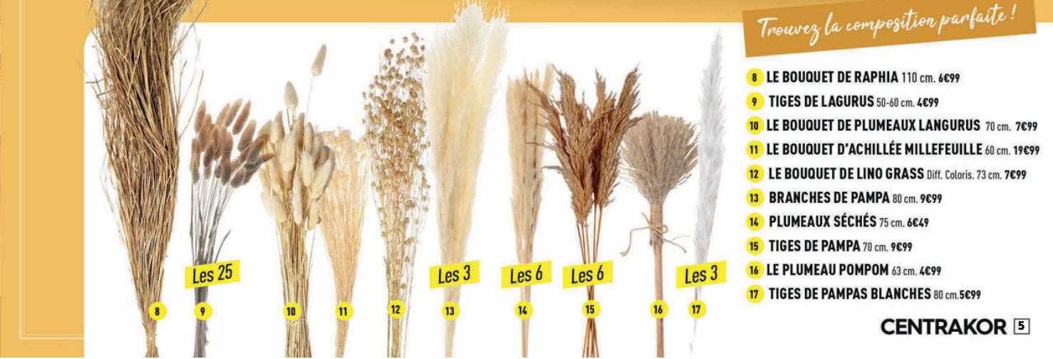 le bouquet de rahia, tiges de lagurus, le bouquet de plumeaux langurus, le bouquet d'achillée millefeuille, le bouquet de lino grass, branches de pampa, plumeaux séchés, tiges de pampa, le plumeau