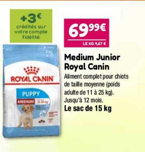 medium junior royal canin