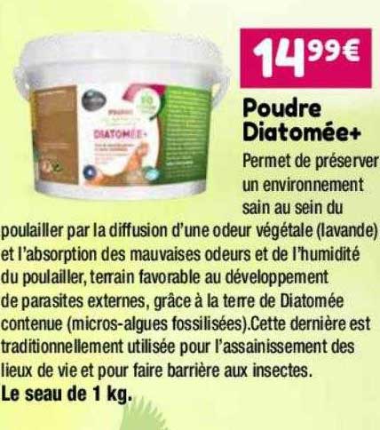 poudre diatomée+