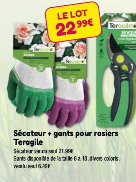 sécateur + gants pour rosier teragile