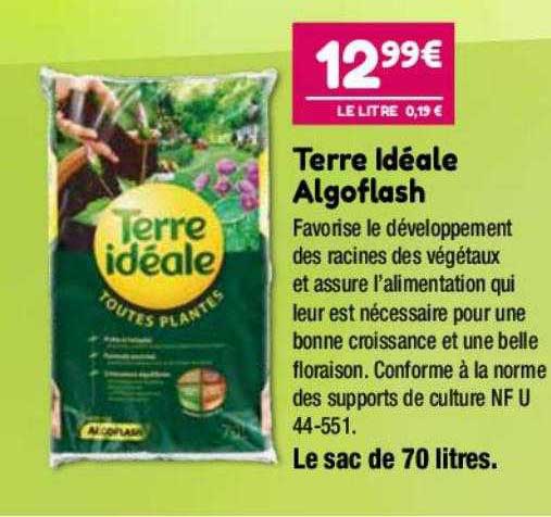 terre idéale algoflash