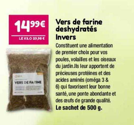 vers de farine deshydratés invers
