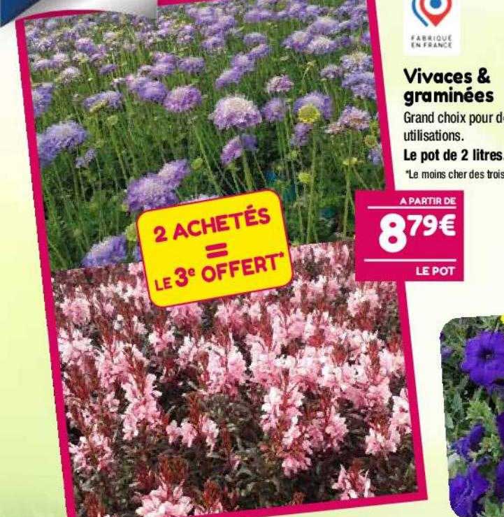 vivaces & graminées