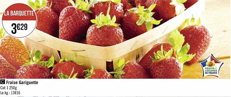fraise gariguette