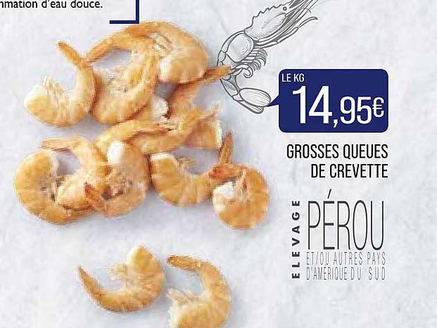 grosses queues de crevette