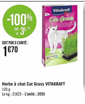 herbe à chat cat grass vitakraft
