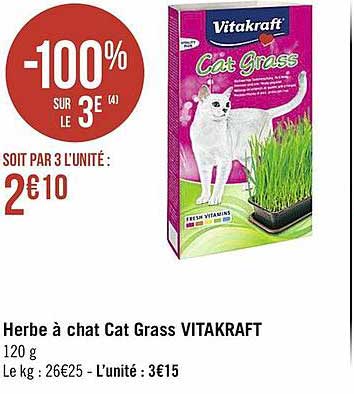 herbe a chat cat grass vitakraft