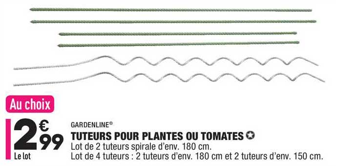 tuteurs our pantes ou tomates