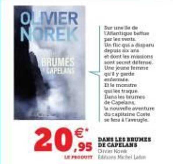 dans les brumes de capelans olivier norek