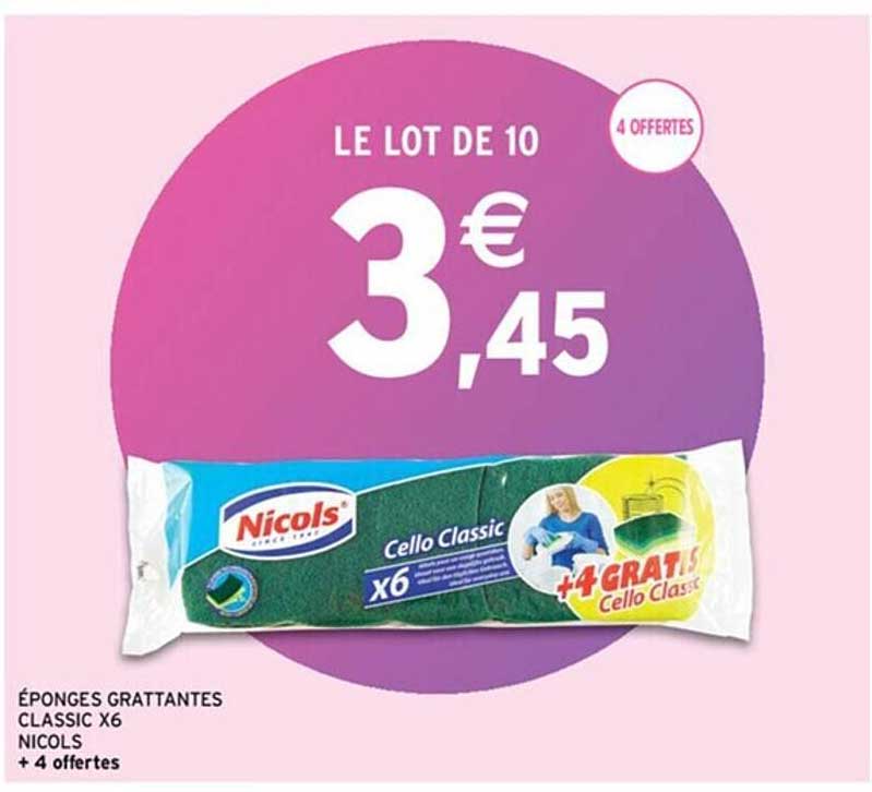 éponges grattantes classic x 6 nicols