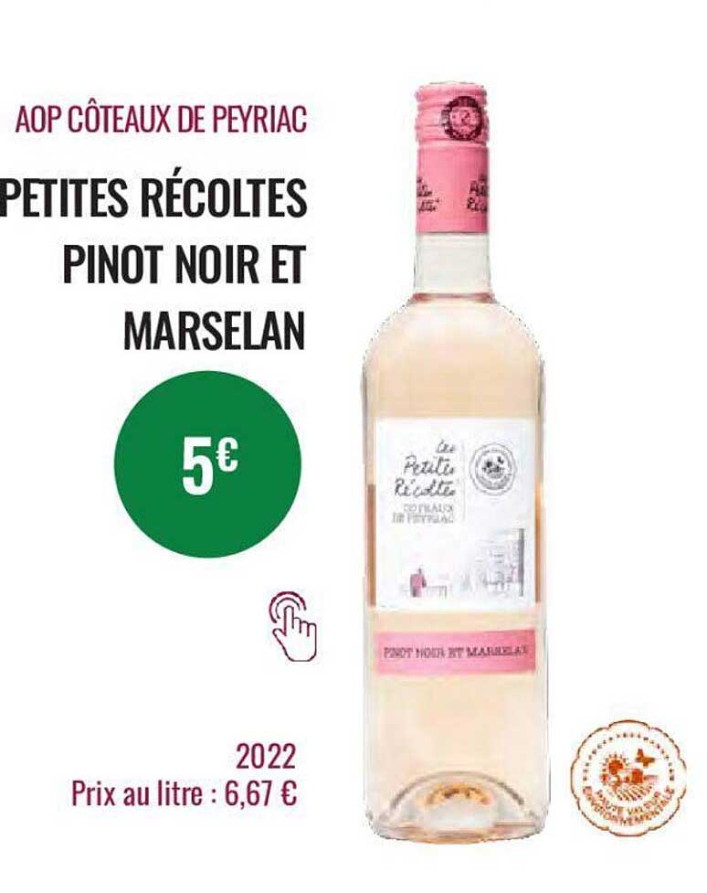 aop côteaux de peyriac petites récoltes pinot noir et marselan 2022