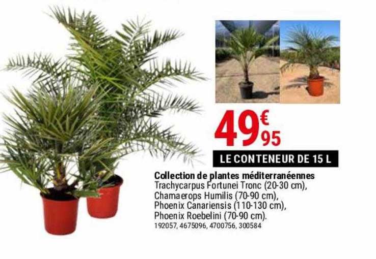 collection de plantes méditerranéennes