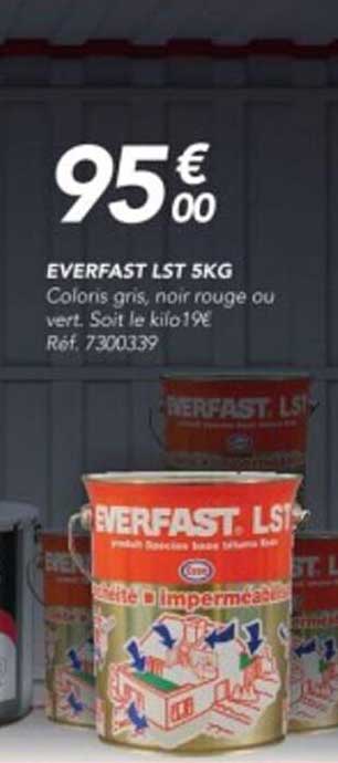 everfast lst 5 kg
