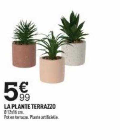 la plante terrazzo