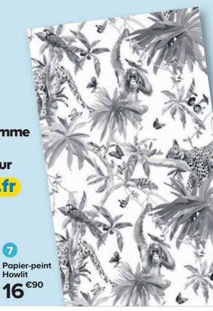 papier-peint howlit