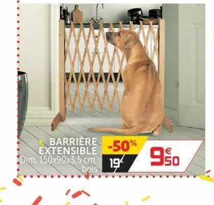 Barrière Extensible