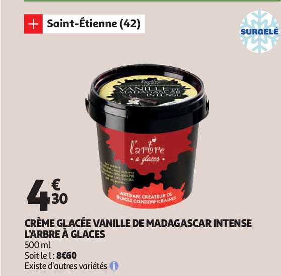 crème glacée vanille de madagascar intense l'arbre à glaces
