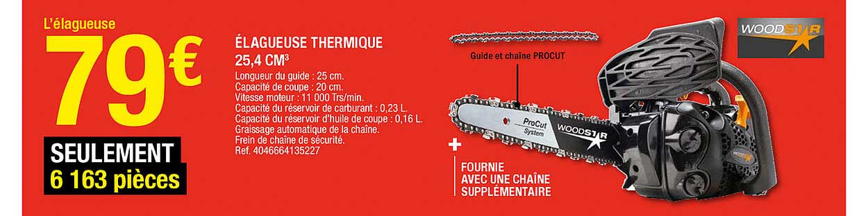 élagueuse thermique 25,4 cm3