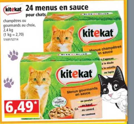 kitekat 24 menus en sauce pour chats