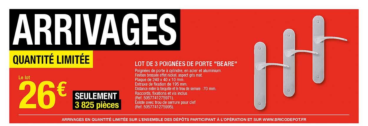 Lot De 3 Poignées De Porte "beare"