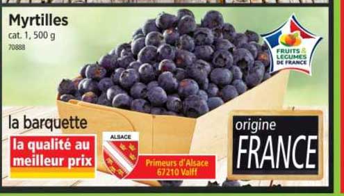 Myrtilles