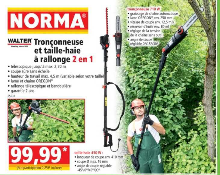 walter tronçonneuse et taille-haie à rallonge 2 en 1