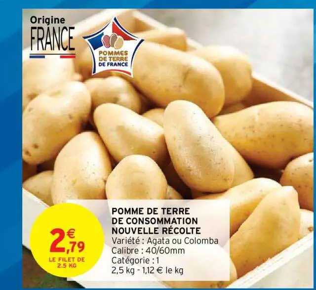 pomme de terre de consommation nouvelle récolte