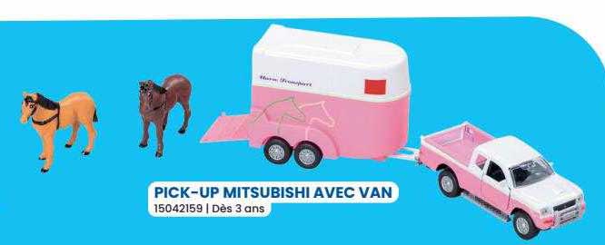 pick-up mitsubishi avec van