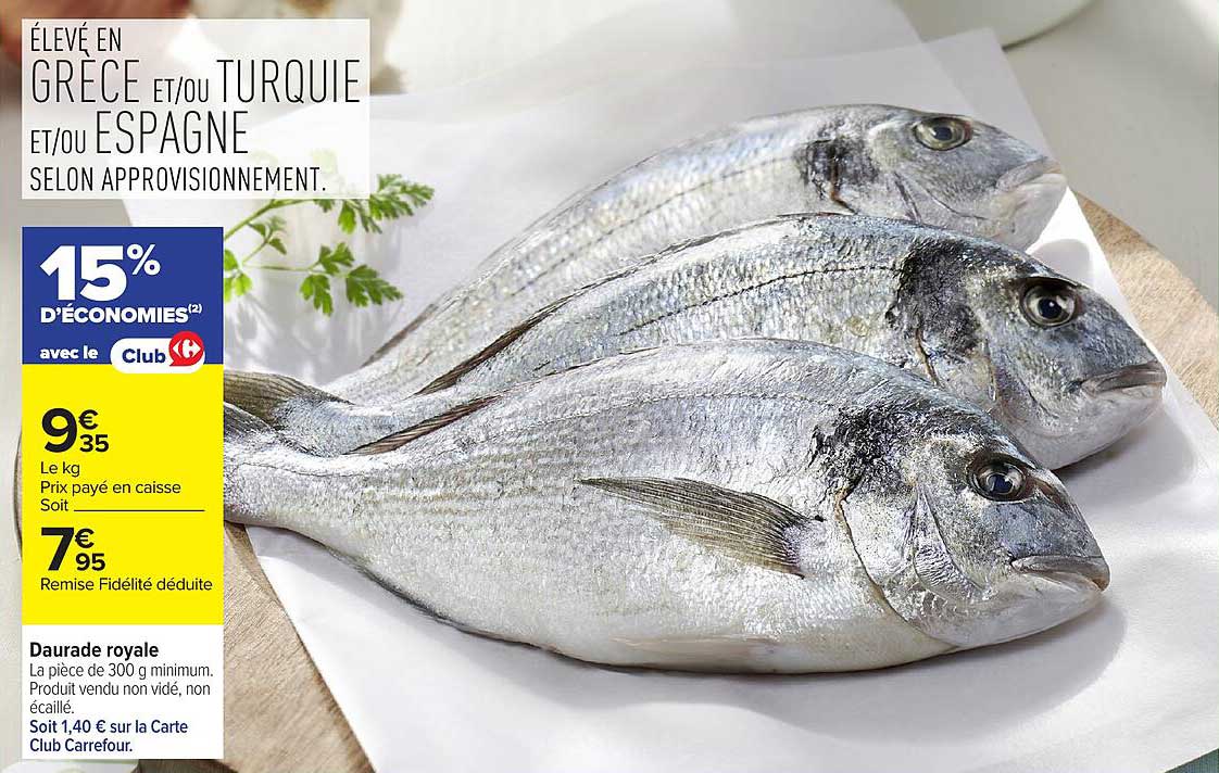 Daurade royale