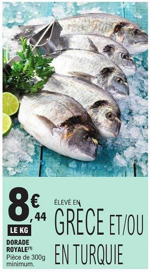 DORADE ROYALE