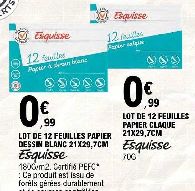 Esquisse 12 feuilles