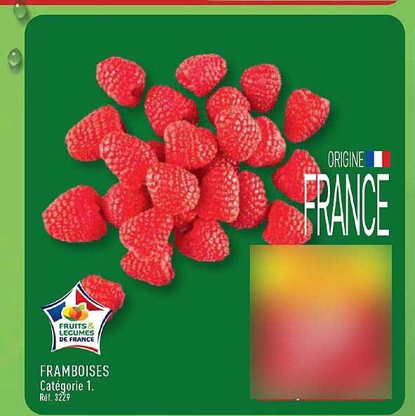 FRAMBOISES Catégorie 1