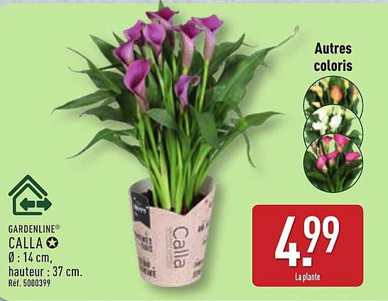 Gardenline Calla