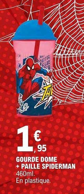 GOURDE DOME + PAILLE SPIDERMAN