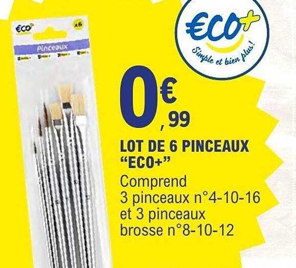 LOT DE 6 PINCEAUX ECO+