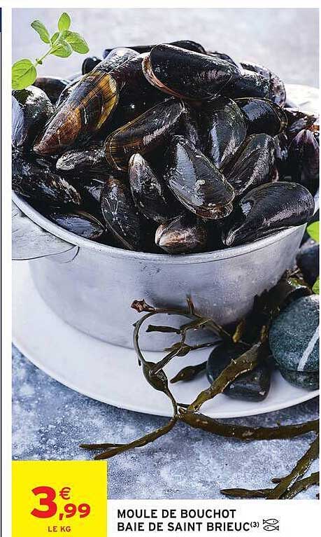 MOULE DE BOUCHOT BAIE DE SAINT BRIEUC