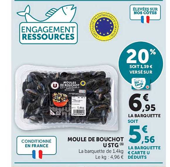 MOULES DE BOUCHOT