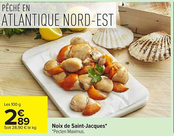 Noix de Saint-Jacques
