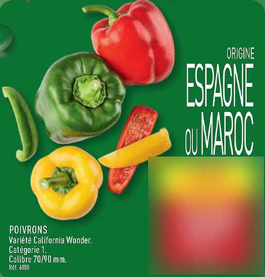 ORIGINE ESPAGNE OU MAROC