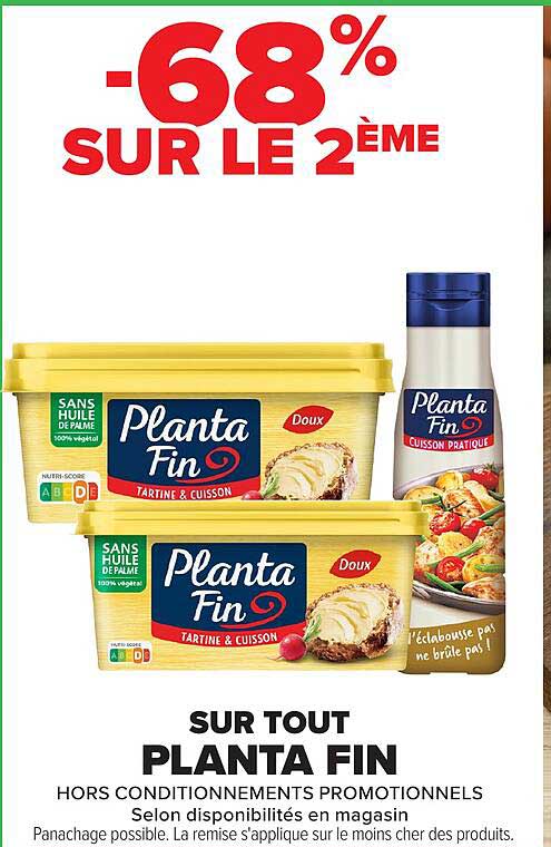 Planta Fin