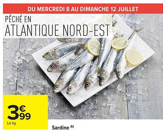 Sardine