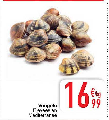 vongole