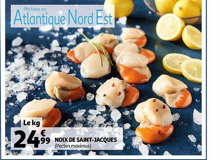 noix de saint-jacques